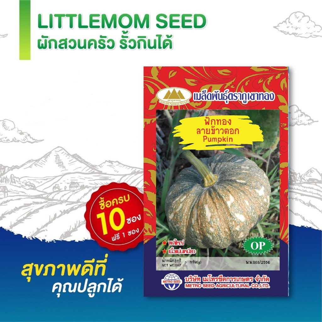 เมล็ดฟักทองลายข้าวตอก ภูเขาทอง 3 กรัม