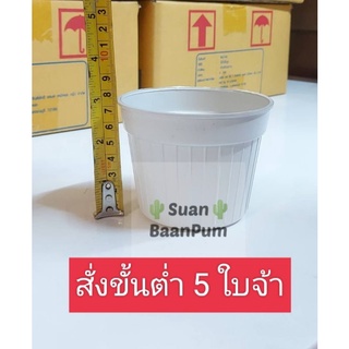 50 ใบ กระถางลูกฟูก สีขาว  4 นิ้ว