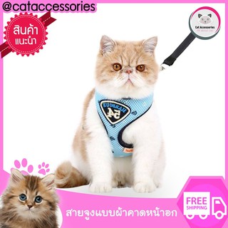 cataccessories สายจูงแมว แบบผ้าคาดหน้าอก รุ่นฮาโบร์  มีให้เลือก2ไซส์ 2สี