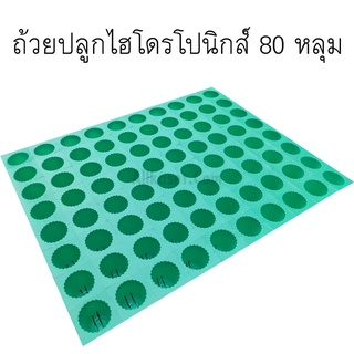 ถาดเพาะไฮโดรสีเขียว 80 หลุม ขนาดเส้นผ่านศูนย์กลางประมาณ 3.5 เซนติเมตร ความลึกหลุม 4.5 เซนติเมตร