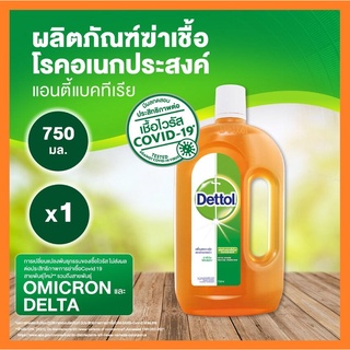 เดทตอล น้ำยาทำความสะอาด น้ำยาฆ่าเชื้อโรค อเนกประสงค์ ขนาด 750มล, Dettol Hygiene Multi-Use Disinfectant 750ml ฆ่าเชื้อโรค