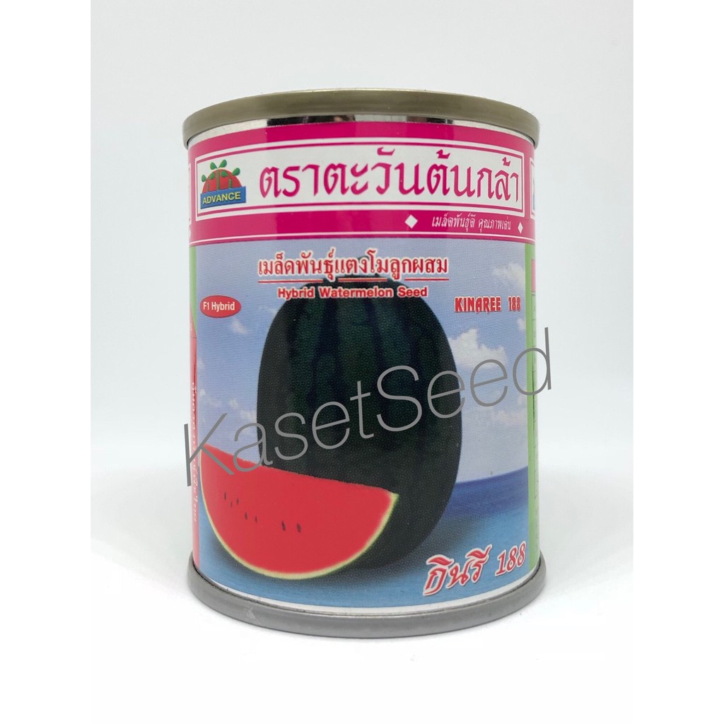เมล็ดพันธุ์ แตงโม กินรี 188 กระป๋อง 40กรัม
