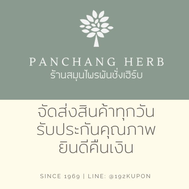 ว่านนางคำ ว่านนางคำผง  1KG  สมุนไพรขัดตัว แท้100% - รูปที่ 3