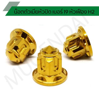 น๊อตตัวเมียเบอร์ 19 หัวเฟือง H2 น็อตตัวเมียหัวปิด เบอร์ 19 หัวเฟือง