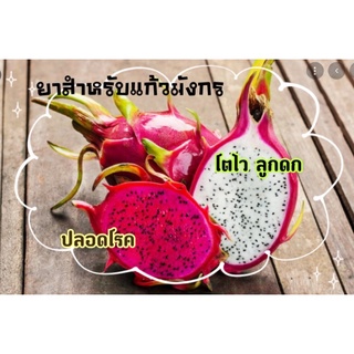 ยาแก้วมังกรในไลฟ์ ป้องโรครา ผลดก ใช้ทุกระยะ