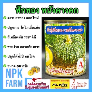 ฟักทอง หนังคางคก ปลาทอง ขนาด 50 กรัม เมล็ดพันธุ์ ลอตใหม่ งอกดี ปลูกง่าย โตไว เนื้อแน่น มัน อร่อย ขายง่าย ตลาดต้องการ