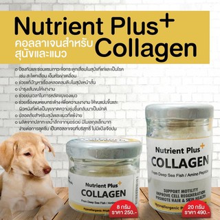 NUTRIENT PLUS COLLAGEN อาหารเสริม คอลาเจน สำหรับสุนัขและแมว ลดการขนร่วงของเส้นขน 20กรัม