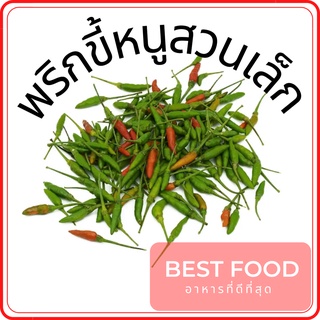 พริกขี้หนูสวนเล็ก Thai Chili, Chilli Padi