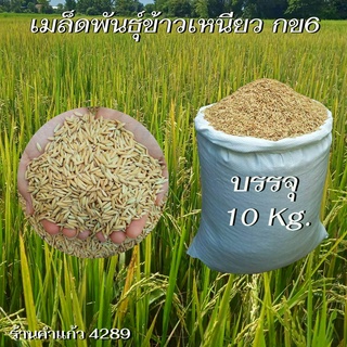 เมล็ดพันธุ์ข้าวเหนียวนาปี กข6 บรรจุ 10 กิโลกรัม พันธุ์ข้าวเหนียวอย่างดี คัดพิเศษ ปลูกเองขายเองโดยวิธีธรรมชาติ