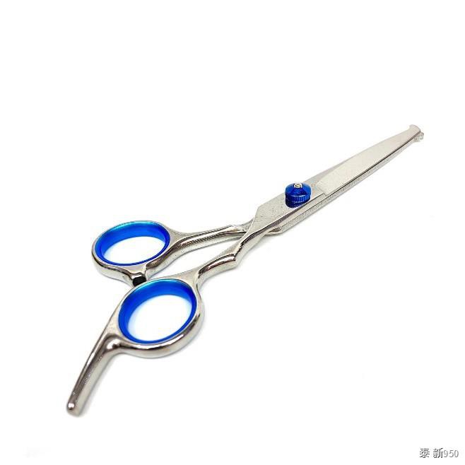 กรรไกรตัดขนสุนัขปลายโค้งสแตนเลส ถูกที่สุด พร้อมโปรโมชั่น มี.ค. 2022