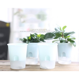 กระถางต้นไม้ ระบบรดน้ำให้ตัวเอง (Self-watering plant pot) กระถงเพาะเมล็ด POTS - 08