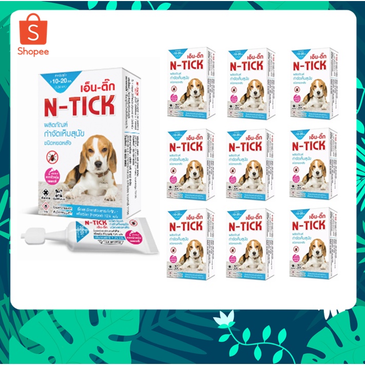 50 กล่อง N-tick กำจัดเห็บหมัด ผลิตภัณฑ์ป้องกันเห็บและหมัด ยาหยดเห็บหมัด สุนัข นน. 10 - 20 kg