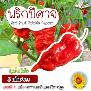 เมล็ดพันธุ์พริกปีศาจแดง จำนวน 5 เมล็ด อัตราการงอก95% ปลูกง่าย โตไว (แถมฟรี เมล็ดผักทุกออเดอร์)