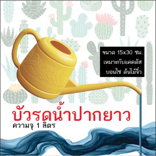 บัวรดน้ำปากยาว บัวรดน้ำปากเล็ก บัวแคคตัส ความจุน้ำ 1 ลิตร ขนาด 15x30 ซม.