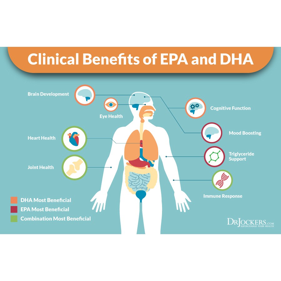 ดีเอชเอ DHA Enteric Coated 500 mg 90 Quick Release Softgels ...