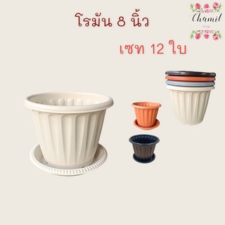 กระถางต้นไม้ Roman 8 นิ้ว เซท 12 ใบ พร้อมจานรอง กระถางต้นไม้พลาสติก สีขาว สีส้ม สีดำ สีเทา