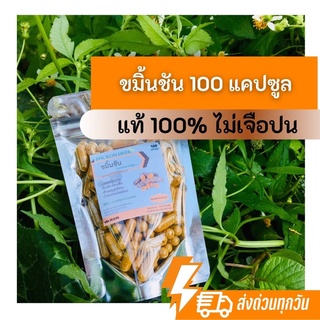 ขมิ้นชัน ขมิ้นชันแคปซูล แก้ท้องอืด กรดไหลย้อน บดละเอียดแท้ 100 capsules ขมิ้นชันอ้วยอัน 🚚พร้อมส่ง ขมิ้นชันอ้วยอัน