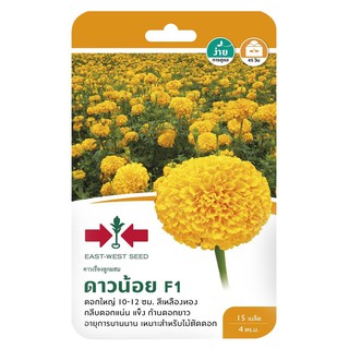 เมล็ดพันธุ์ดาวเรือง F1 ดาวน้อย MARIGOLD SEED EAST-WEST SEED DAO NOI F1