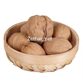 Walnut วอลนัท 6-7 ลูก อาหารเสริมสำหรับสัตว์เลี้ยงฟันแทะ ลับฟันสัตว์เลี้ยงฟันแทะ (สินค้าเข้าใหม่)