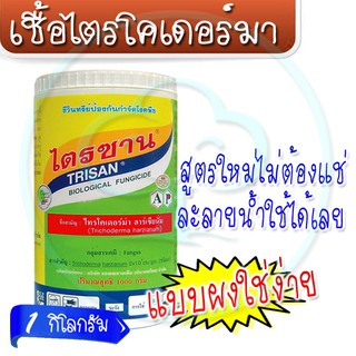 ไตรโคเดอร์มา 1กิโลกรัม (การป้องกันและควบคุม โรครากเน่า ในพริก) แบบผง ไม่ต้องแช่ ละลายได้ ใช้ได้เลย