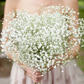 1 Bunch Artificial Gypsophila