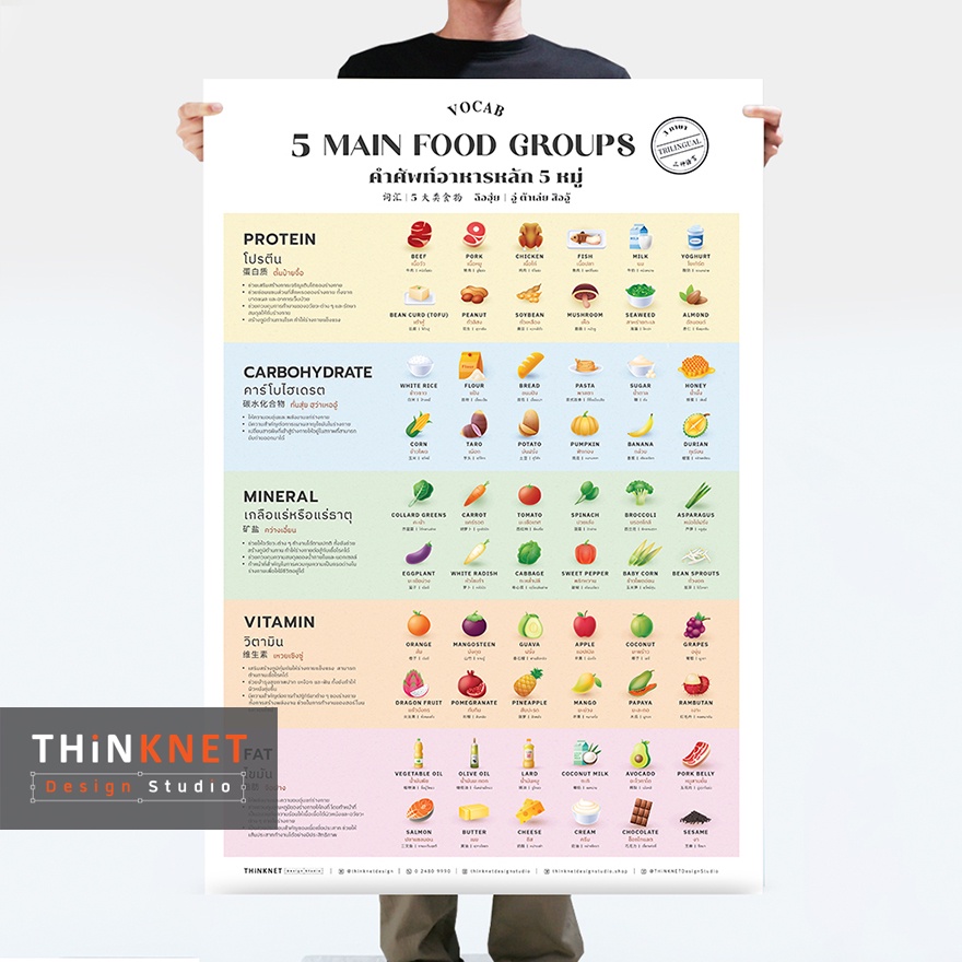 โปสเตอร์คำศัพท์อาหารหลัก 5 หมู่ 3 ภาษา Vocab: 5 Main Food Groups Trilingual