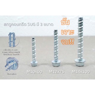 SUG 💥สกรูยึดคอนกรีต สกรูคอนกรีต สกรู  หัวเหลี่ยม / HEXAGON CONCRETE BOLT💯