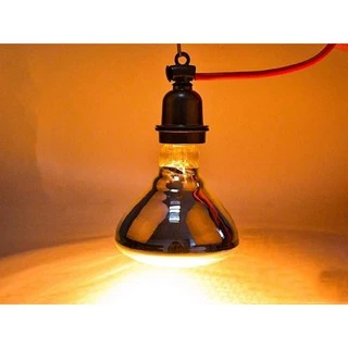 หลอดไฟอินฟาเรด กกสัตว์เลี้ยง 250วัตต์ [ขาวหนาแสงส้ม] แสงสีวอม E27 infrared bulb1
