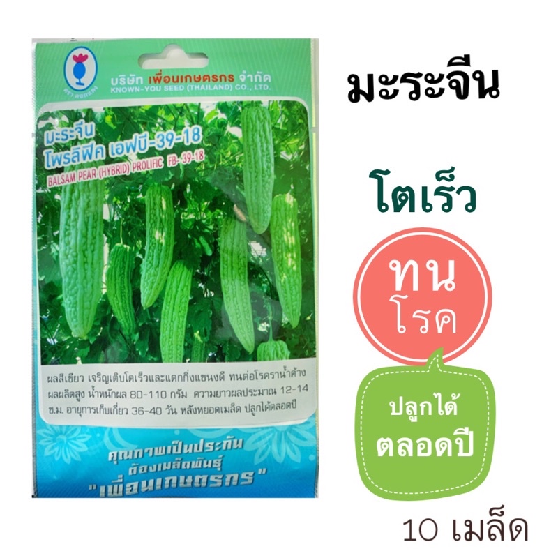 เมล็ดมะระจีน พันธุ์ลูกผสม โพรลิฟิค ผลสีเขียว น้ำหนักผล 80-110 กรัม โตเร็ว แตกกิ่งแขนงดี ทนโรค ปลูกได้ตลอดปี