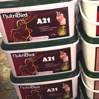 A21 อาหารลูกป้อนนก (ตักแบ่ง 500 กรัม) Nutribird A21 ฝาเขียว