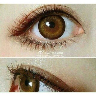 Tiara Brown (1) Pretty Doll บิ๊กอาย สีน้ำตาล ขอบช็อคโก้ คอนแทคเลนส์ Bigeyes Contact Lens ค่าสายตา สายตาสั้น Dali Wink