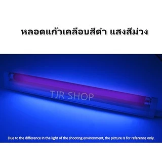 ชุด รางพร้อมหลอด Black Light T5 4W/6W/8W หลอดล่อแมลง ดักแมลง ดิสโก้เทค การแพทย์ ส่อง