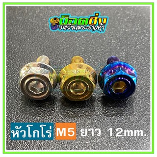 น็อตสแตนเลส หัวโกโร่ ขนาดเกลียว m5 ยาว 12 mm.