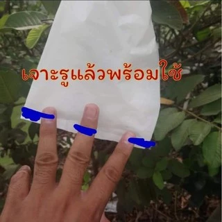 ถุงห่อฝรั่ง ผลไม้ UV ไม่ต้องใช้กระดาษหนาพิเศษ เจาะรูระบายน้ำ ระบายความร้อน ระบายอากาศ