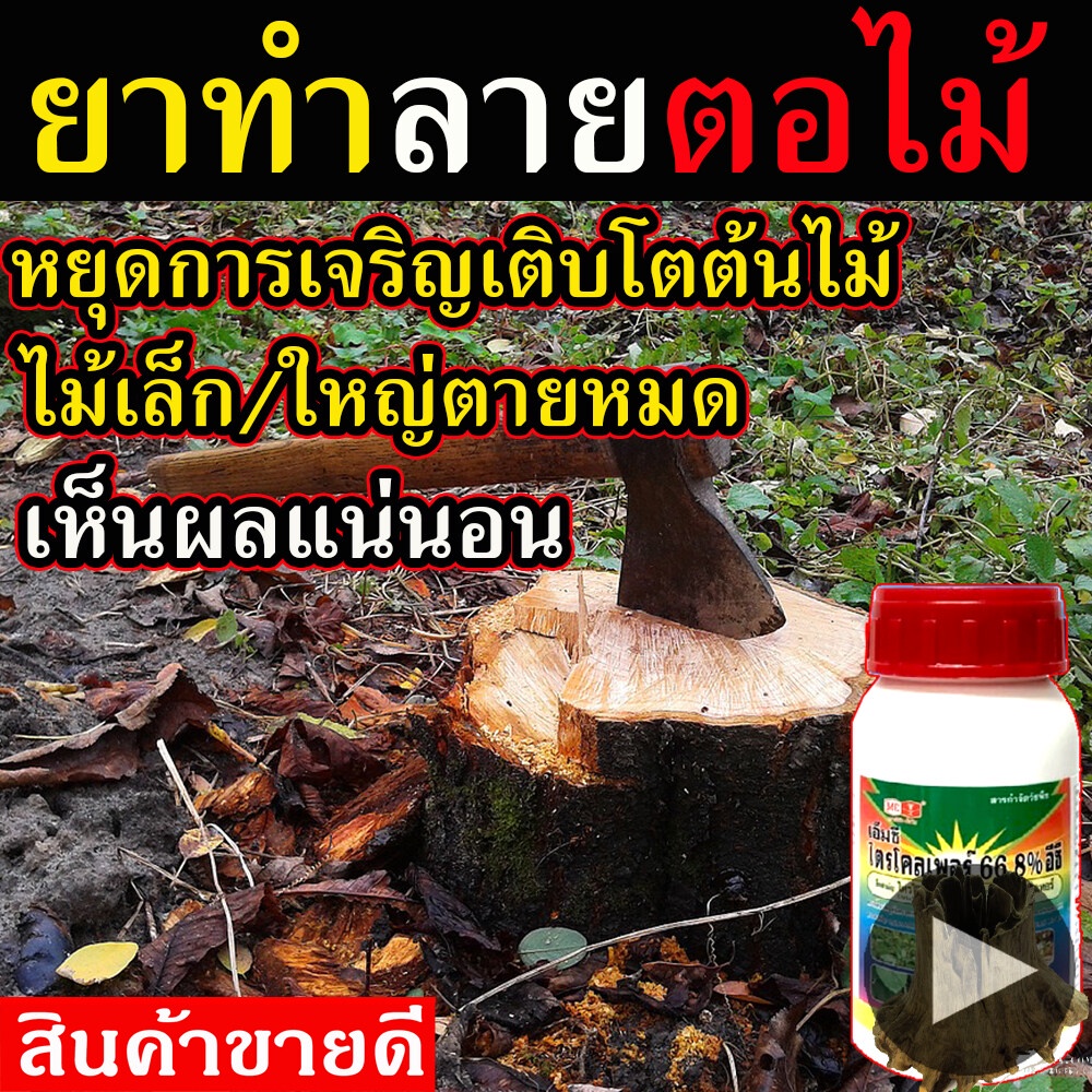 🔥สินค้าพร้อมส่ง🔥 (ระวังของเลียนแบบ) สารกำจัด ต้นตอไม้ ใหญ่ ขนาด 1 ขวด  ฆ่าตอไม้ ป้ายรากไม้