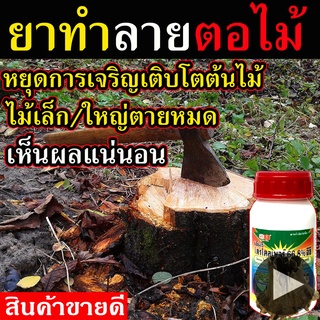 (เห็นผล100%)สารกำจัดตอไม้ ขนาด 1 ขวด รับประกันคุณภาพ ยาทำลายตอไม้ ยาฆ่าตอไม้ ยาป้ายตอไม้ ยากำจัดตอไม้