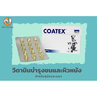 COATEX วิตามินบำรุงขนและผิวหนัง Exp. 07/24 สำหรับสุนัขและแมว