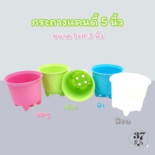 37POTS (ขายส่ง 12 ใบ สุ่มสี) กระถางแคนดี้ 5นิ้ว สี