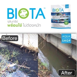 จุลินทรีย์ BIOTA ขนาด 1 กิโลกรัม สำหรับปรับสภาพน้ำ