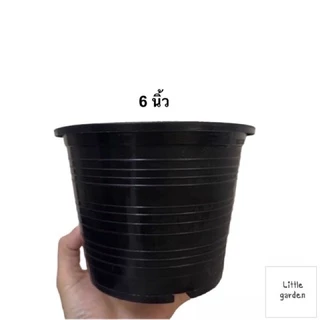 Little กระถางต้นไม้ 6 นิ้ว 100 ใบ (ดำเงาA+🖤)