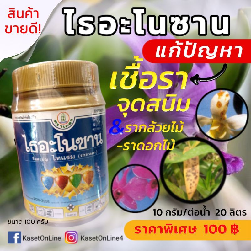 ราคาถูกสุดๆไธอะโนซานแก้ปัญหาเชื้อราพืชจุดสนิมรากล้วยไม้ราดอกไม้ขนาด100กรัม