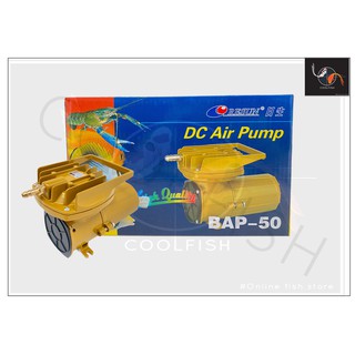 Resun BAP-50 ปั๊มลมต่อแบตเตอรี่ (DC Air Pump 12V) กำลังลมกำลังแรง