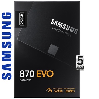 250 GB SSD SATA SAMSUNG 870 EVO (MZ-77E250BW)