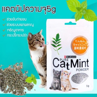 หญ้าชนิดหนึ่งสำหรับแมวราคาถูก แคปนิท กัญชาแมว Cat Mint 5 กรัม / ถุง