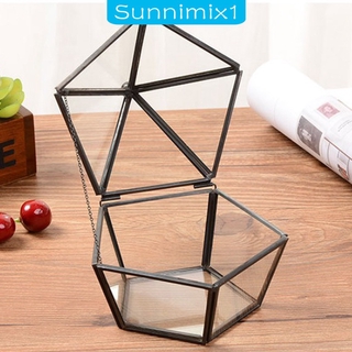 Irregular Glass Geometric Terrarium Box Succulent Plant Fern Moss Planter