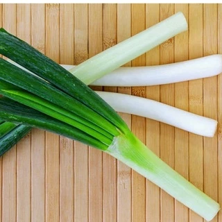 หอมญี่ปุ่นยักษ์📌ถูกที่สุด 10 บ.📌เมล็ดพันธุ์หอมญี่ปุ่นยักษ์ 40 เมล็ด👉 ☘️งอกง่าย🌱 ขึ้นไว👉ต้นใหญ่ยักษ์