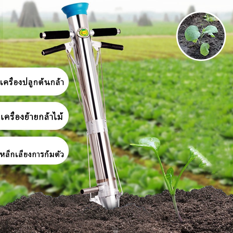 เครื่องมือปลูกต้นกล้า ต้นกล้า ต้นกล้าผัก สแตนเลส เครื่องมือทำสวน