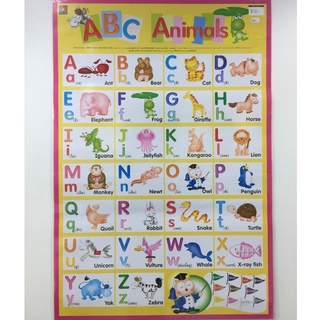 AFK โปสเตอร์ หุ้มพลาสติก ABC Animals*(ของมีตำหนิ)