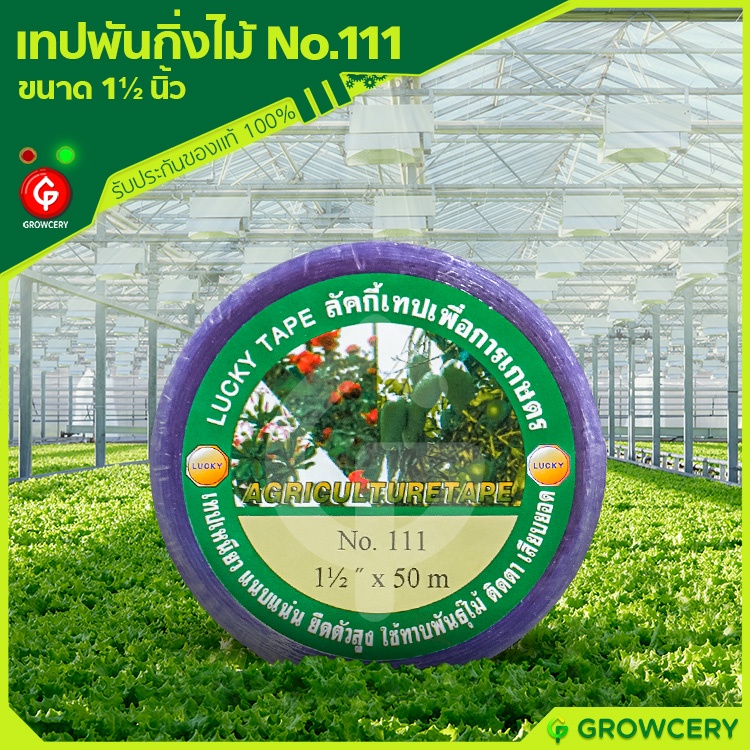 [G] เทปพันกิ่งไม้ เทปติดตาต้นไม้ ยาว 50 ม. ยี่ห้อ LUCKY TAPE No.111 (ขนาด 1, 1.25, 1.5, 2 นิ้ว) 1 ม้วน โดย FARMiiLY
