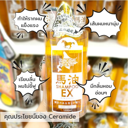 Horse Oil in Shampoo & Conditioner Haircare Series / แชมพู & ครีมบำรุงผม น้ำมันม้า 1000มล. - รูปที่ 3